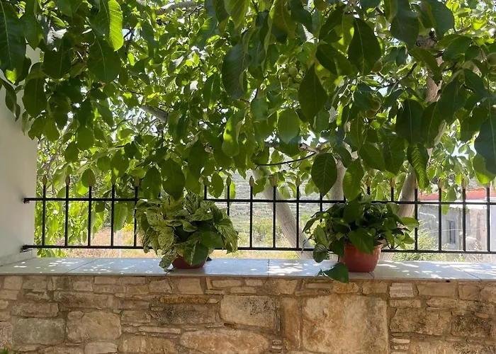 Serenity House Σπίτι διακοπών *